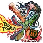 Tribulus terrestris para que sirve